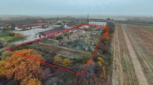 Tilecus, Bihor
