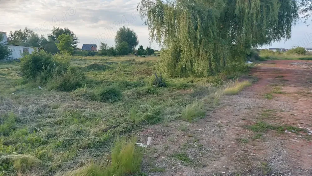 Timis, Mosnita Noua