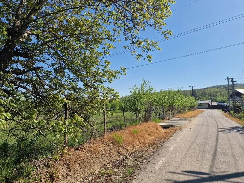 Arges, Calinesti
