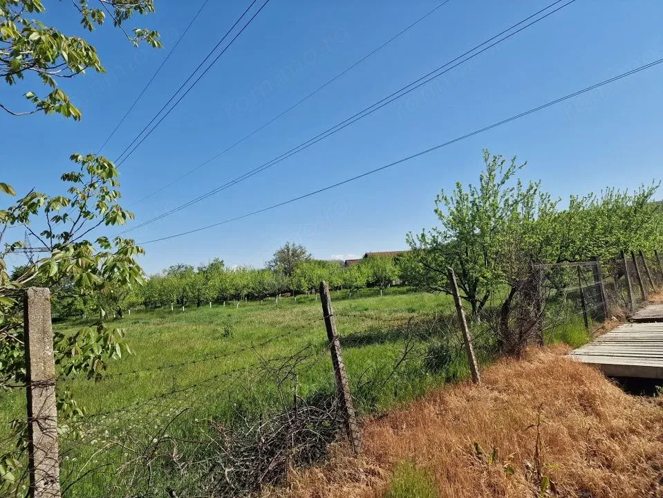 Arges, Calinesti