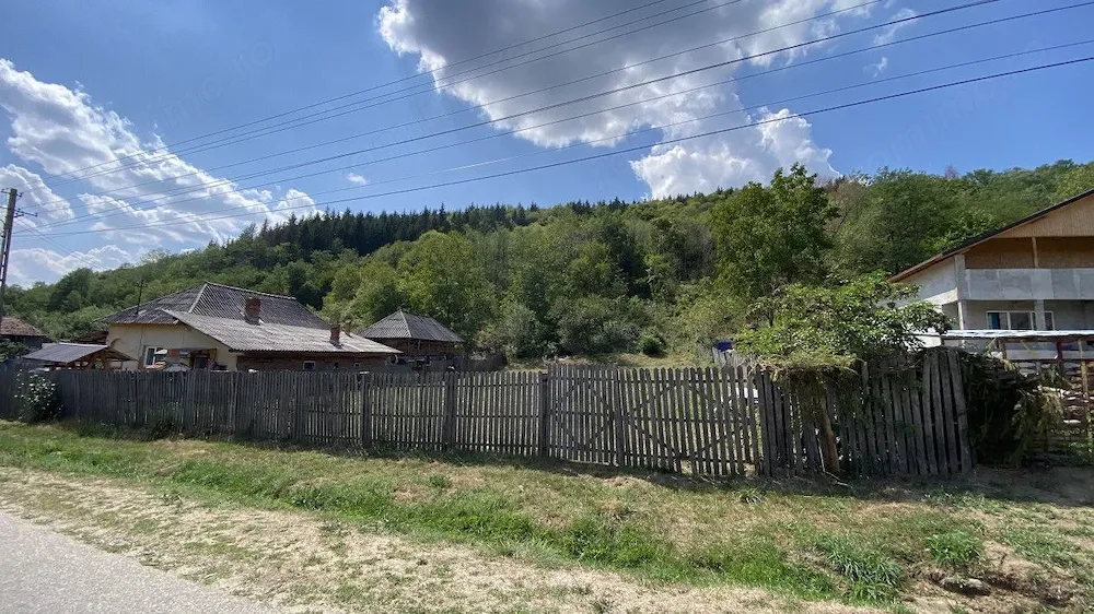 Arges, Aninoasa