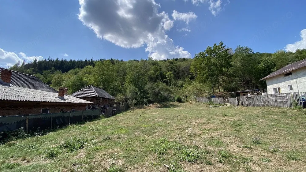 Arges, Aninoasa