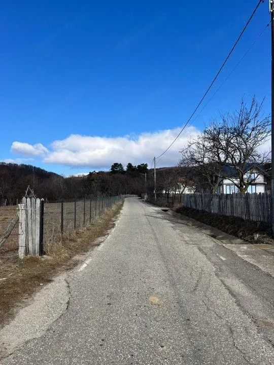 Arges, Cicanesti