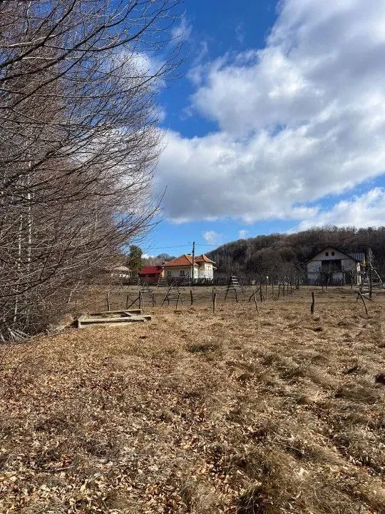Arges, Cicanesti