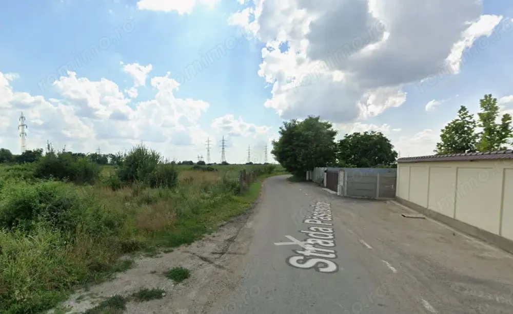 Timis, Timisoara, ronat