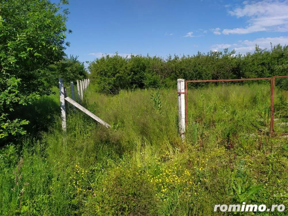 Prahova, Baicoi, Nord