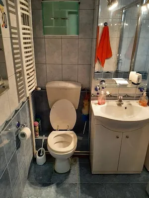 Dacia, Timisoara, Timis