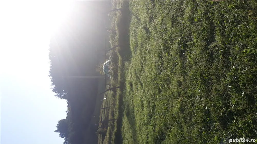 Buzau, Nehoiu