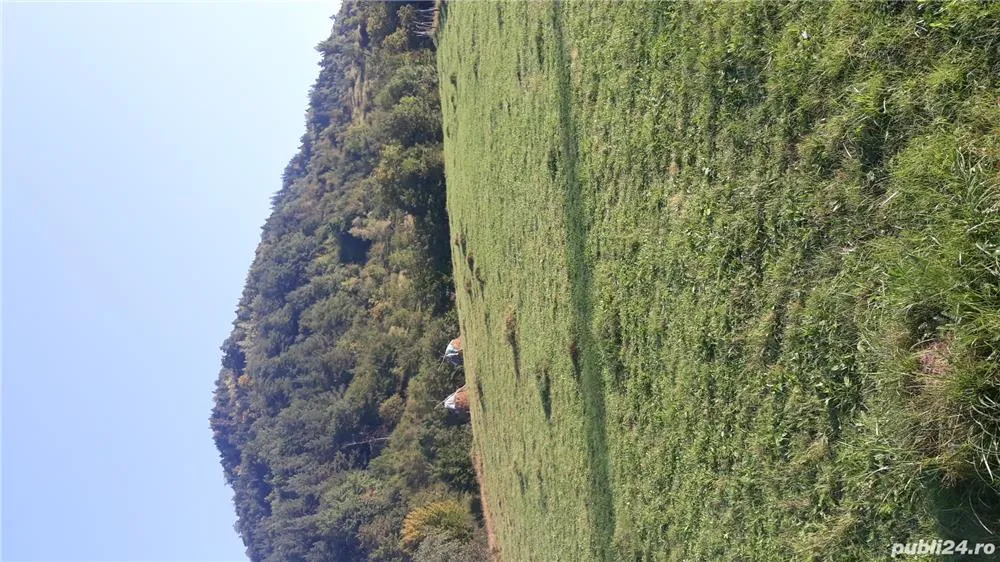 Buzau, Nehoiu
