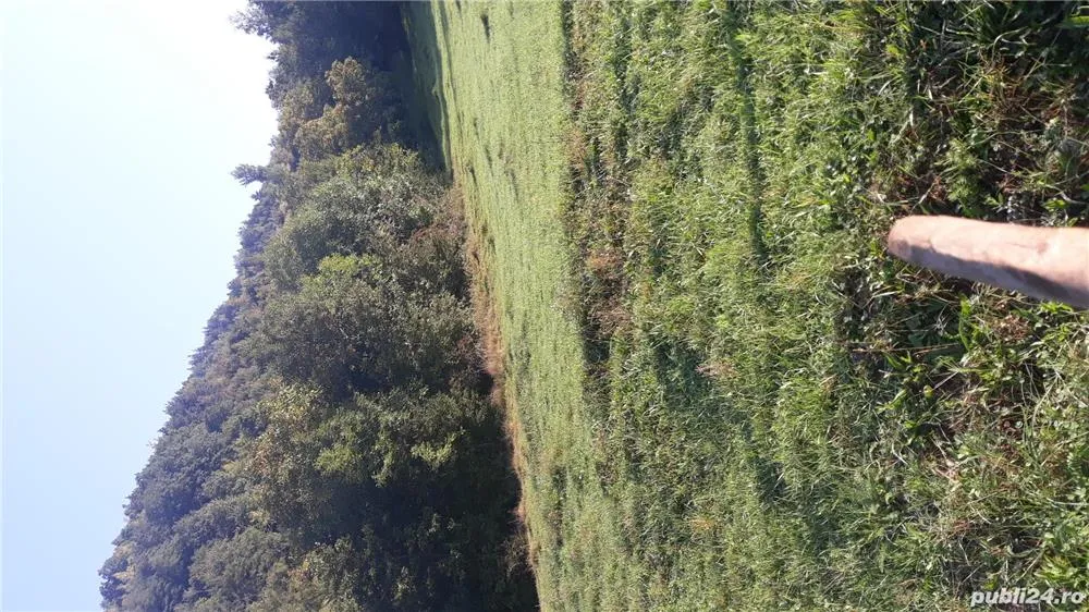 Buzau, Nehoiu